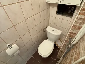 Prodej bytu 2+1, Brno, Merhautova, 62 m2