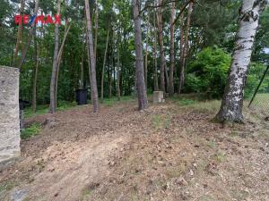 Prodej chaty, Žďár nad Orlicí, 51 m2