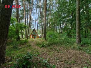 Prodej rodinného domu, Žďár nad Orlicí, 51 m2