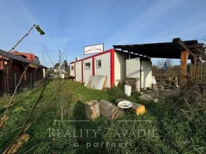 Prodej výrobních prostor, Brumovice, Hlavní, 60 m2