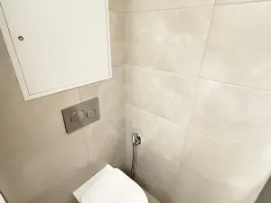 Prodej bytu 2+1, České Budějovice, Plzeňská, 47 m2