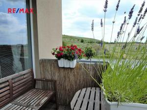 Pronájem bytu 2+kk, Hostivice, Žitná, 45 m2