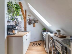 Prodej bytu 2+1, Brno, Koliště, 52 m2