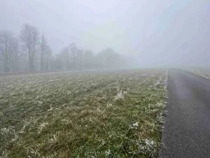 Dražba pole, Chuchelna, 4813 m2