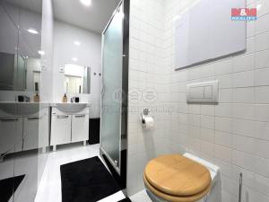Pronájem bytu 2+kk, Děčín - Děčín VI-Letná, Slovanská, 42 m2
