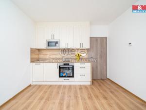 Pronájem bytu 1+kk, Olomouc, Frištenského, 34 m2