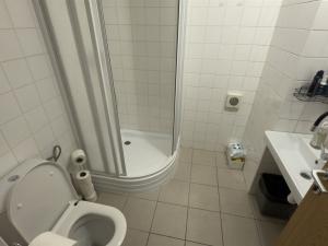 Pronájem rodinného domu, Břeclav, Národního odboje, 227 m2