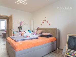 Prodej bytu 3+1, České Budějovice, K. Štěcha, 84 m2