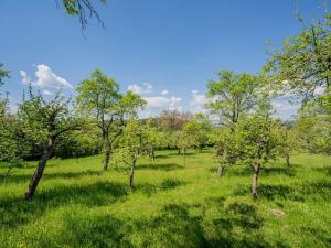 Prodej chalupy, Petrovice, 120 m2
