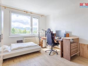 Pronájem bytu 1+kk, Raspenava, Moskevská, 20 m2