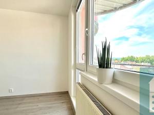 Pronájem bytu 1+kk, Kroměříž, 28 m2