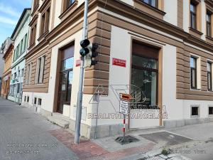 Pronájem obchodního prostoru, České Budějovice, Fráni Šrámka, 43 m2