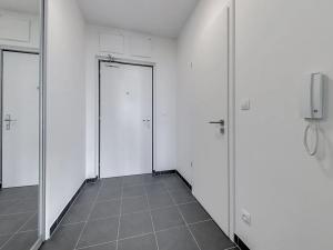 Pronájem bytu 1+kk, Praha - Žižkov, Olgy Havlové, 35 m2