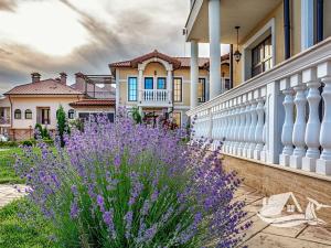Prodej rodinného domu, Sveti Vlas, Bulharsko, 350 m2