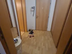 Pronájem bytu 1+kk, Praha - Břevnov, Patočkova, 44 m2
