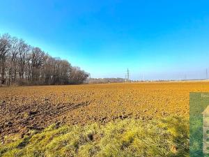 Prodej pozemku pro bydlení, Chropyně, 3500 m2