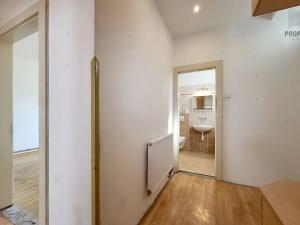 Prodej bytu 2+kk, Brno, Rybářská, 51 m2
