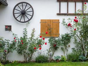 Prodej rodinného domu, Písek, Obecní, 601 m2