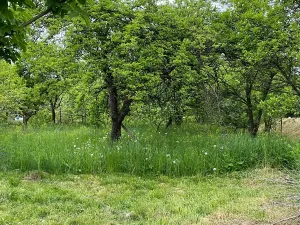 Prodej chalupy, Krasonice, 74 m2