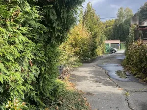Prodej obchodního prostoru, Ostrava, U Lesa, 297 m2