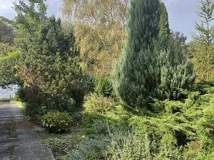 Prodej obchodního prostoru, Ostrava, U Lesa, 297 m2