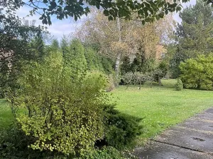 Prodej obchodního prostoru, Ostrava, U Lesa, 297 m2
