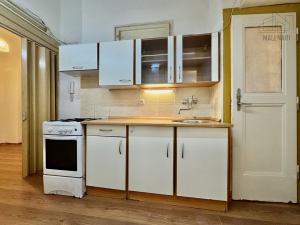 Prodej bytu 1+kk, Praha - Vinohrady, náměstí Jiřího z Lobkovic, 36 m2