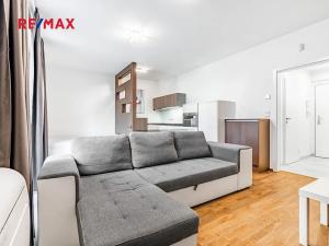 Prodej bytu 1+kk, Praha - Žižkov, Olšanská, 37 m2