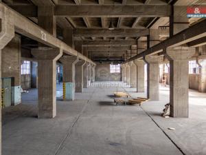 Pronájem skladu, Ostrava, Ruská, 12000 m2