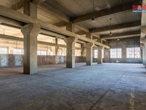 Pronájem skladu, Ostrava, Ruská, 12000 m2