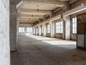 Pronájem skladu, Ostrava, Ruská, 12000 m2