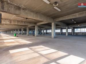 Pronájem skladu, Ostrava, Ruská, 12000 m2