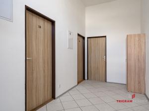 Pronájem bytu 1+kk, Hradec Králové - Plotiště nad Labem, Petra Jilemnického, 18 m2