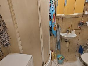 Pronájem bytu 2+kk, Vsetín, Družstevní, 37 m2