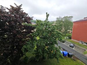 Pronájem bytu 2+kk, Vsetín, Družstevní, 37 m2