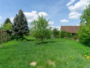 Prodej rodinného domu, Mšeno, náměstí Míru, 540 m2