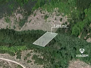 Prodej podílu lesa, Řendějov, 844 m2