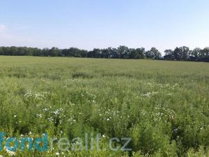 Prodej komerčního pozemku, Ražice, 4938 m2