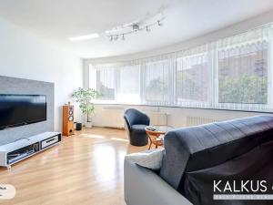 Prodej bytu 1+kk, Hradec Králové, Palachova, 41 m2