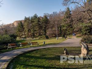 Prodej bytu 2+kk, Praha - Nusle, Rostislavova, 57 m2