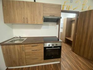 Pronájem bytu 1+kk, Ostrov - Horní Žďár, 27 m2