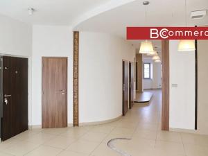 Pronájem kanceláře, Brno, Hybešova, 165 m2