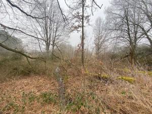 Prodej pole, Slatina, 21641 m2
