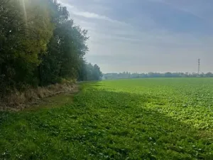Prodej pole, Praha, 24066 m2