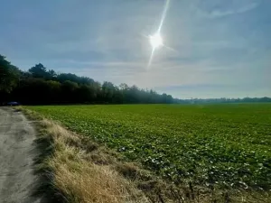 Prodej pole, Praha, 24066 m2