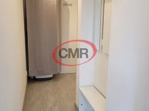 Pronájem bytu 2+kk, Praha - Smíchov, Štefánikova, 46 m2