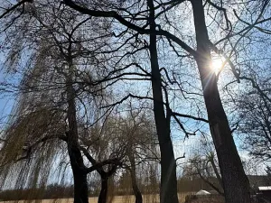 Prodej zemědělské usedlosti, Mišovice, 910 m2