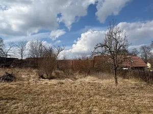 Prodej zemědělské usedlosti, Mišovice, 910 m2