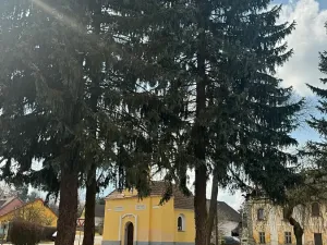 Prodej zemědělské usedlosti, Mišovice, 910 m2