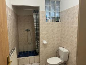Pronájem ubytování, Brno, Cejl, 167 m2
